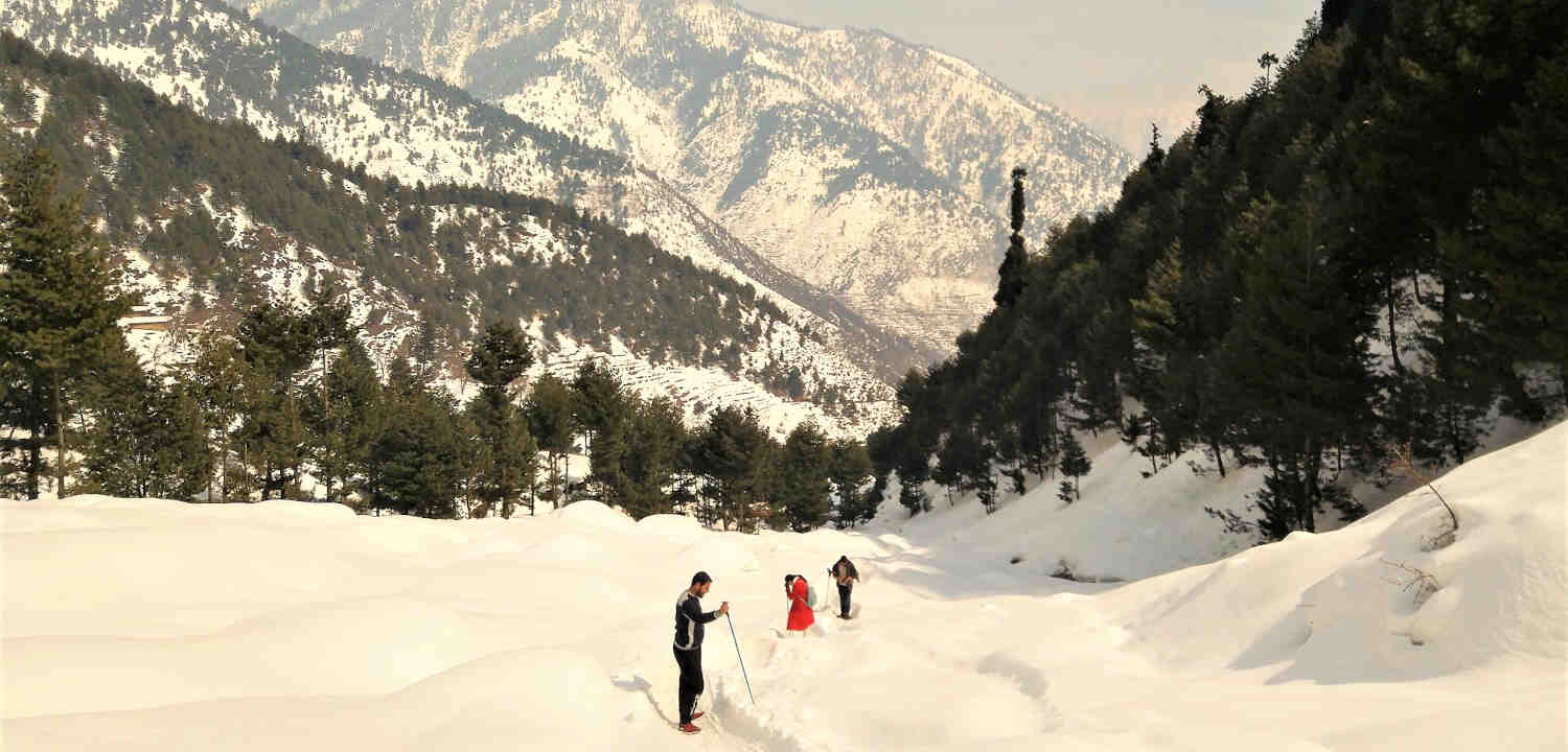 Mohanmarg-Winter