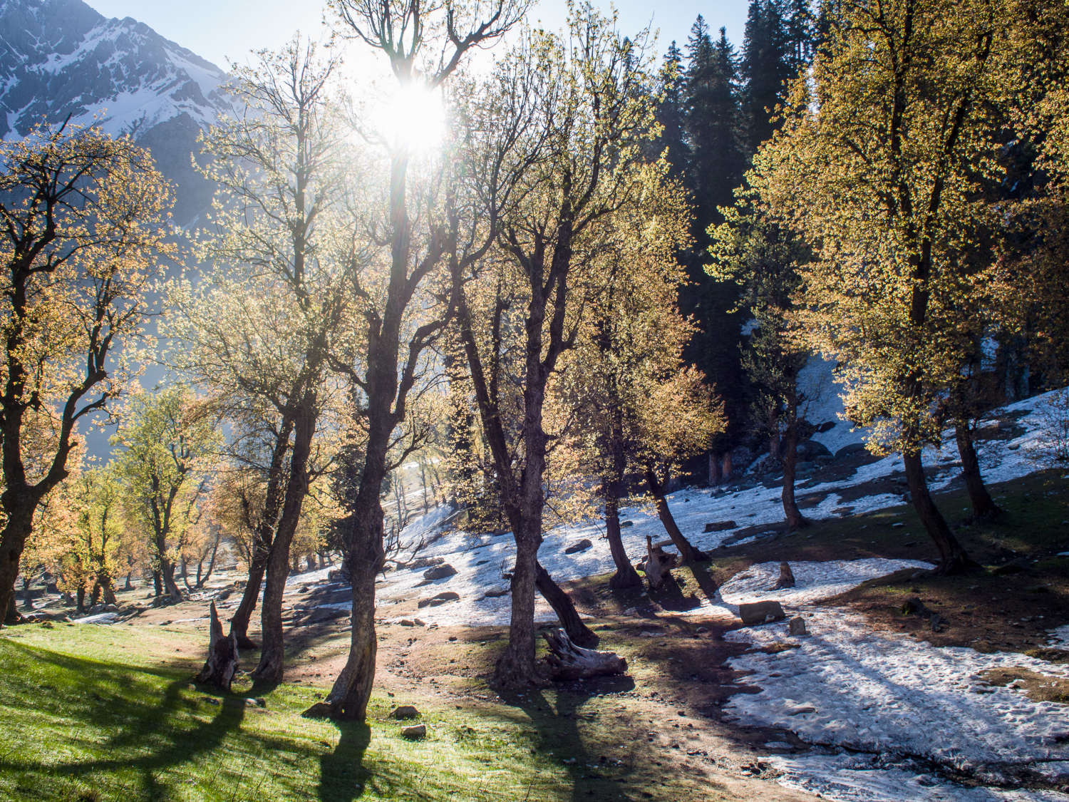dawn-sunlight-sonamarg