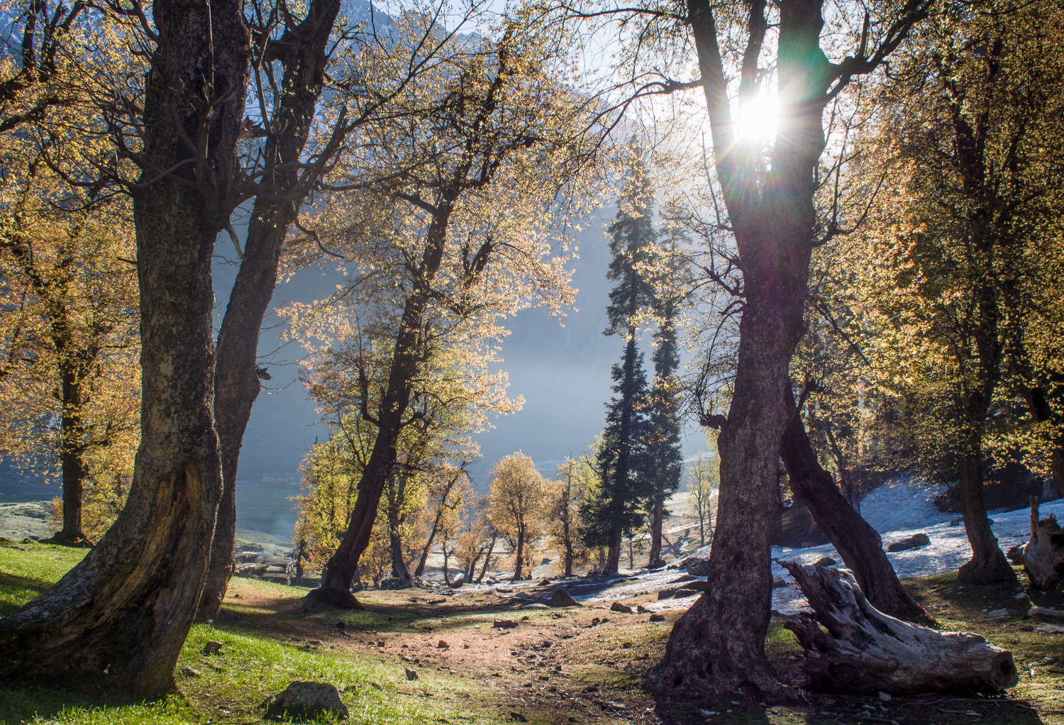 dawn-sunlight-sonamarg